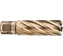 Сверло корончатое (65х55 мм; Weldon 19) LENZ LZHM-065