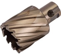 Сверло корончатое (35х30 мм; Weldon 19) LENZ LZHS-035