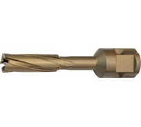 Сверло корончатое (20х55 мм; Weldon 19) LENZ LZTM-020