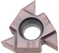 Пластина резьбовая 16ERM AG55 LF6018 DESKAR 00-00021232