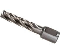 Сверло кольцевое (13х55 мм; HSS; Weldon 19) EUROBOOR HCL.130