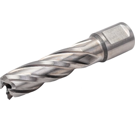 Сверло кольцевое (16х55 мм; HSS; Weldon 19) EUROBOOR HCL.160