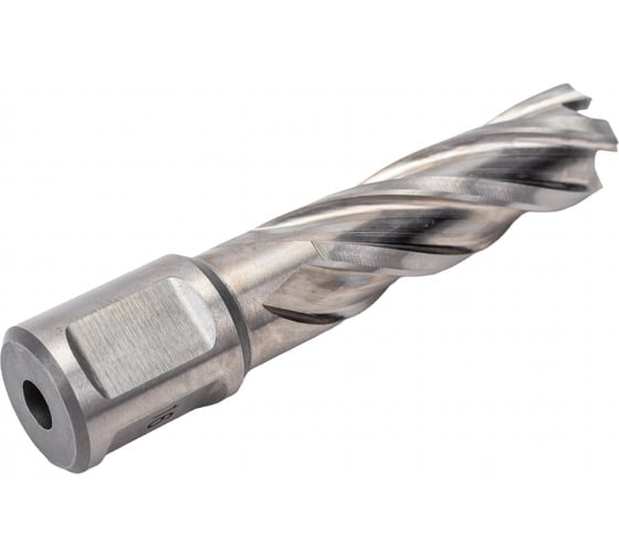 Сверло кольцевое (16х55 мм; HSS; Weldon 19) EUROBOOR HCL.160