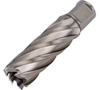 Сверло кольцевое (22х55 мм; HSS; Weldon 19) EUROBOOR HCL.220