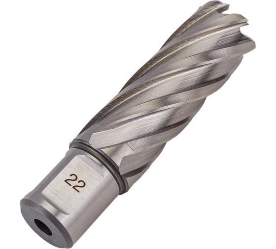 Сверло кольцевое (22х55 мм; HSS; Weldon 19) EUROBOOR HCL.220