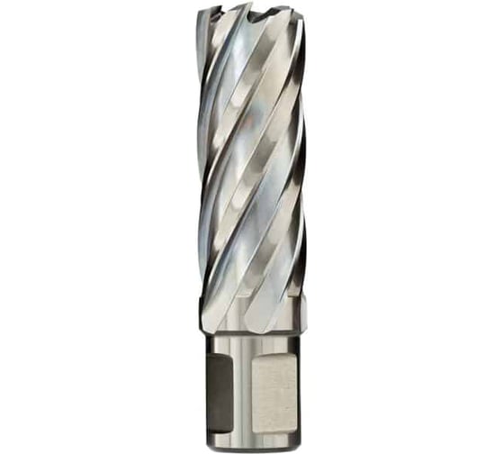 Сверло кольцевое (33х55 мм; HSS; Weldon 19) EUROBOOR HCL.330 1