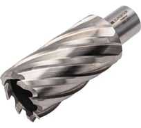 Сверло кольцевое (32х55 мм; HSS; Weldon 19) EUROBOOR HCL.320