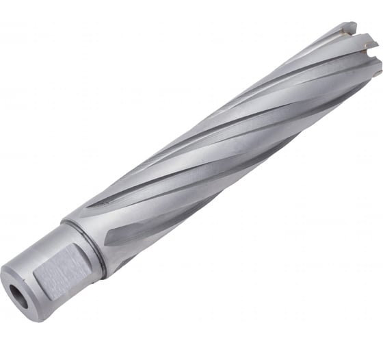 Сверло кольцевое (22х100 мм; TCT; Weldon 19) EUROBOOR HMX.220