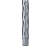Сверло кольцевое (21х100 мм; TCT; Weldon 19) EUROBOOR HMX.210
