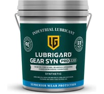 Индустриальное масло GEAR SYN PRO 220 для промышленных редукторов, 19 л LUBRIGARD LGPGSYN220CPL19