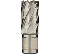 Сверло кольцевое (29х30 мм; HSS; Weldon 19) EUROBOOR HCS.290