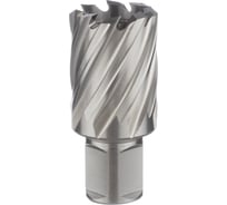 Фреза кольцевая 33х30/63 мм, WELDON 19, HSS M2, №127 ТМ Профоснастка 40102027