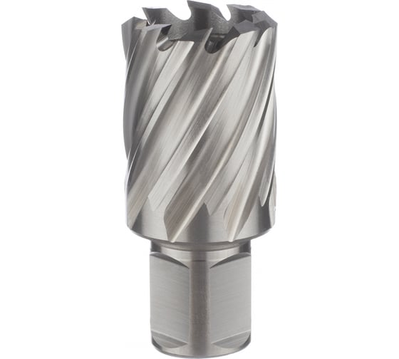 Фреза кольцевая 31х30/63 мм, WELDON 19, HSS M2, №125 ТМ Профоснастка 40102025 1