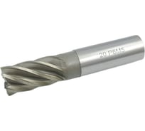 Фреза концевая ц/х (20х38х104 мм; z=6) TORNERI 039419