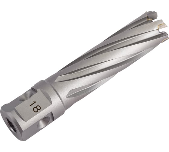 Сверло кольцевое (18х55 мм; TCT; Weldon 19/One-touch) Euroboor HMLU.180