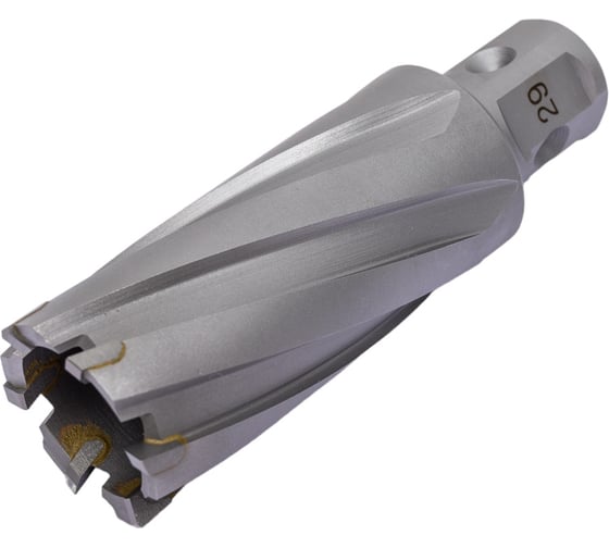 Сверло кольцевое (29х55 мм; TCT; Weldon 19/One-touch) Euroboor HMLU.290 1