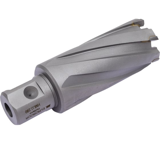 Сверло кольцевое (29х55 мм; TCT; Weldon 19/One-touch) Euroboor HMLU.290
