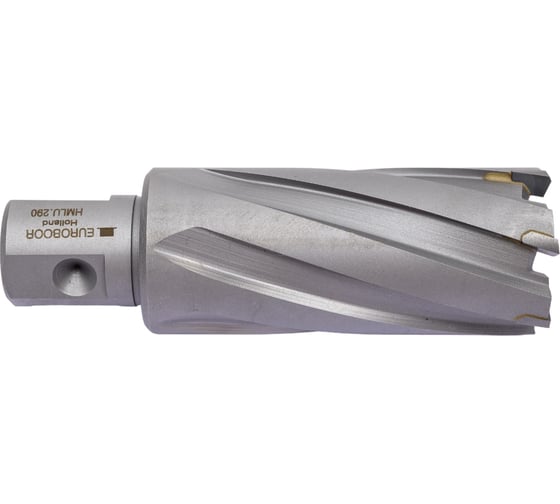 Сверло кольцевое (29х55 мм; TCT; Weldon 19/One-touch) Euroboor HMLU.290