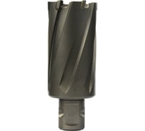 Сверло кольцевое (25х55 мм; TCT; Weldon 19/One-touch) Euroboor HMLU.250