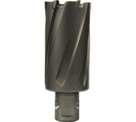 Сверло кольцевое (30х55 мм; TCT; Weldon 19/One-touch) Euroboor HMLU.300