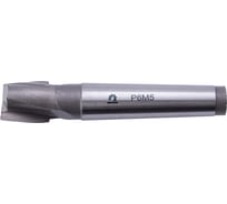 Фреза шпоночная (18х104х19 мм; КМ2; к/х; Р6М5/M2) WOLFSTAR mk10018