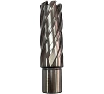 Сверло корончатое 22х55 мм DAKSTOOLS HSSL-2202255