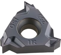 Пластина резьбовая 10 шт/уп 16IR250ISO HARDSTONE 4603312182486