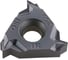 Пластина резьбовая 10 шт/уп 16IR250ISO HARDSTONE 4603312182486 1