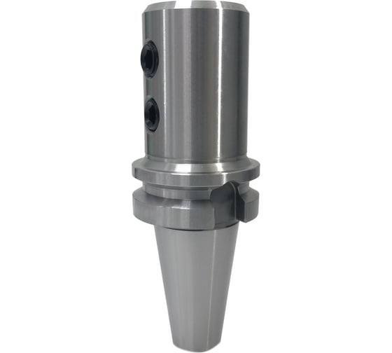 Оправка BT50-SLA25-100 Prosaers 20190