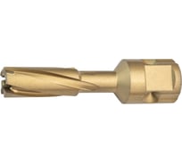 Сверло корончатое (16х35 мм; Weldon 19) LENZ LZTS-016