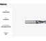 Фреза G2CS2 MM 5.5 2F N CARBIDE PV200 OSAWA G2CS2055 2