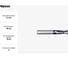Фреза G2CS2 MM 5.5 2F N CARBIDE PV200 OSAWA G2CS2055 3