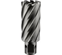 Сверло корончатое ALTECO 12х50 мм 22461