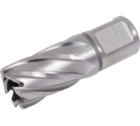 Сверло по металлу корончатое D.BOR с хв. Weldon 19 мм (3/4''), HSS-Co 20х30/63 мм D-CD-CO8-030-020-W