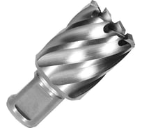 Сверло по металлу корончатое D.BOR с хв. Weldon 19 мм (3/4''), HSS-Co 18х30/63 мм D-CD-CO8-030-018-W