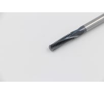 Резьбофреза Эквивалент MHT0595A06C20-ISO1.25I EMG30