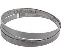 Полотно ленточное М42 (2450х27х0.9 мм; 6/10 TPI) ECO EM4227096102450
