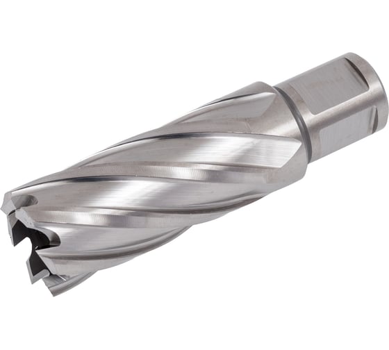 Сверло корончатое HSS по металлу (24х55/88 мм; Weldon 19) D.BOR CD-HSS-055-024-W 1