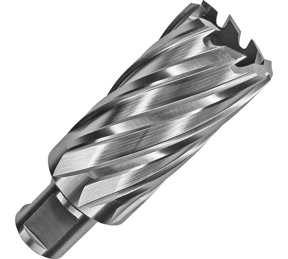 Сверло корончатое HSS по металлу (40х55/88 мм; Weldon 19) D.BOR CD-HSS-055-040-W 1
