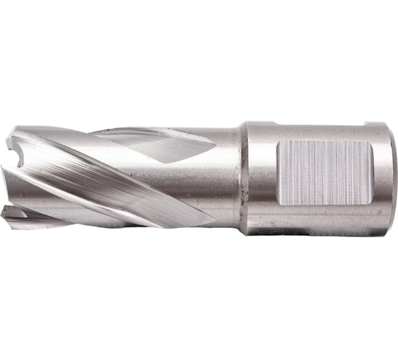 Сверло корончатое HSS по металлу (17х30/63 мм; Weldon 19) D.BOR CD-HSS-030-017-W 1
