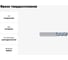 Фреза твердосплавная Эквивалент MH04-H0100A04M40R02N EMG70 3