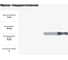 Фреза твердосплавная Эквивалент MH02-P0400A06S30BN-L EMG45 3
