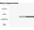 Фреза твердосплавная Эквивалент MH06-P0800A08M45EN EMG45 3