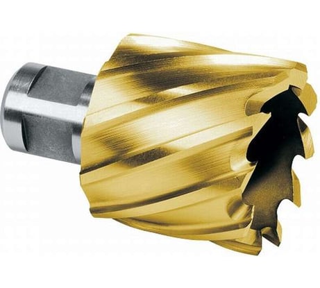 Сверло корончатое по металлу (20х30 мм; HSS G TiN) Terrax by RUKO 108220TTX