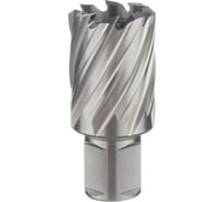 Корончатое сверло (фреза кольцевая) Профоснастка 38 мм L=30/63 мм №132 WELDON19 HSS M2 40102032