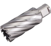 Фреза кольцевая HSS (29x55 мм; Weldon 19) ROTORICA RT.4215029