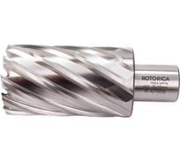 Фреза кольцевая HSS (36x55 мм; Weldon 19) ROTORICA RT.4215036