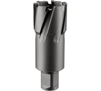 Фреза кольцевая TCT (38x55 мм; Weldon 19) ROTORICA RT.4225038