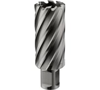 Фреза кольцевая HSS (39x55 мм; Weldon 19) ROTORICA RT.4215039