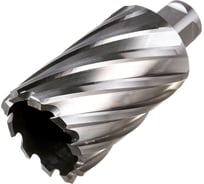 Фреза кольцевая HSS (40x55 мм; Weldon 19) ROTORICA RT.4215040